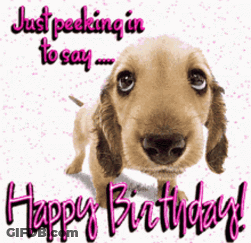 Dog Peeking In To Say Happy Birthday GIF