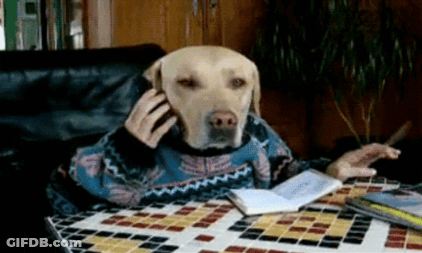 Dog Phone Call Chat GIF