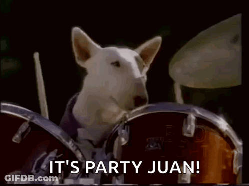 Dog Playing Drums Saying It's Party Juan GIF