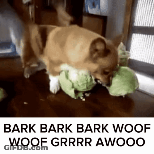 Dog Playing Stuffed Animal Bark Woof Grr Awoo GIF
