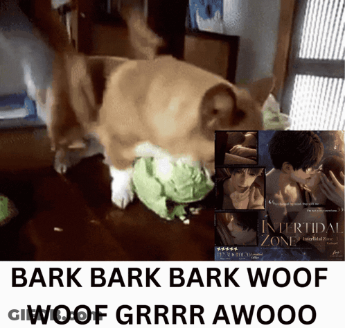 Dog Playing With Stuffed Animal Beside Intertidal Zone Poster GIF