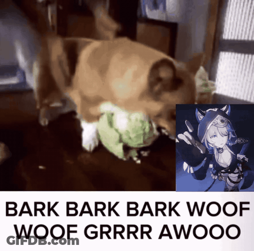 Dog Playing With Stuffed Animal GIF