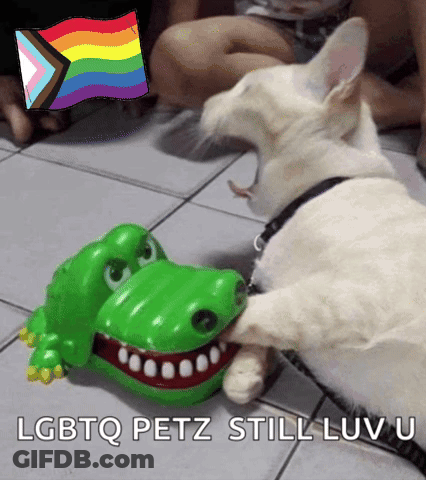 Dog Playing With Toy Crocodile LGBTQ Petz Still Luv U GIF