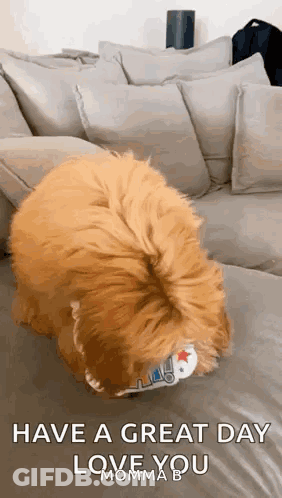 Dog Playing With Toy Saying Have A Great Day Love You Momma B GIF