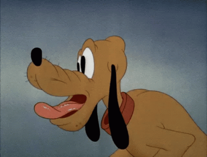 Dog Pluto Drooling GIF