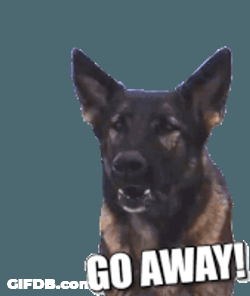 Dog Police Dog Sticker GIF