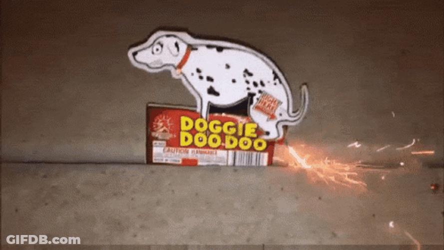 Dog Poop Firework GIF