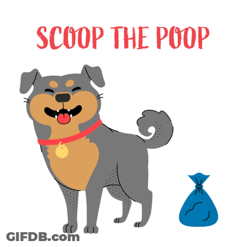 Dog Poop Inside Plastic Bag GIF