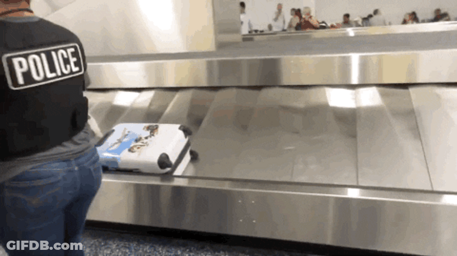 Dog Poop On Airport Baggage Carousel GIF