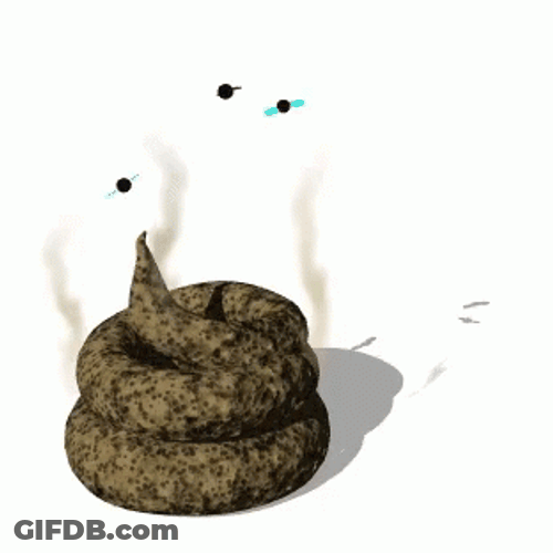 Dog Poop With Flies Over It GIF