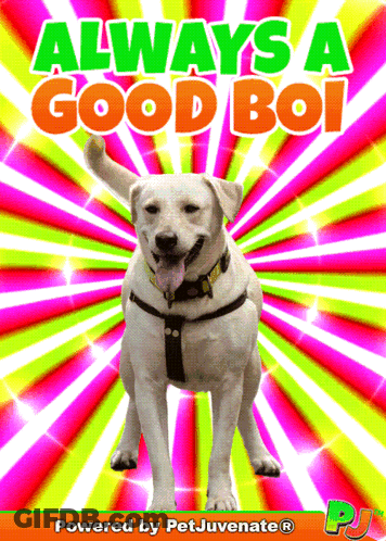 Dog Poster Always A Good Boi GIF