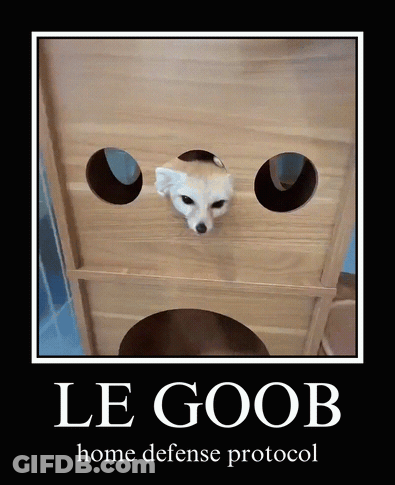 Dog Poster Le Goob Home Defense Protocol GIF