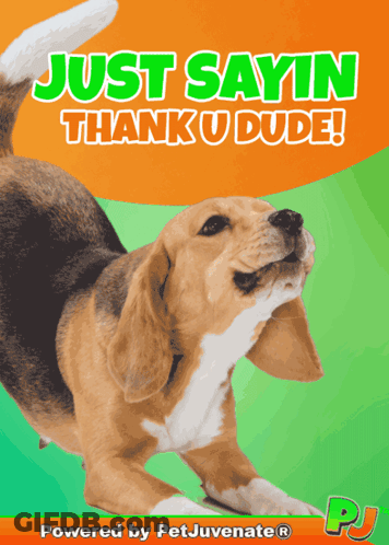 Dog Poster Saying Thank You GIF