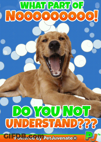 Dog Poster Saying What Part Of Nooo GIF