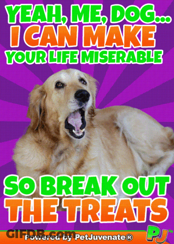Dog Poster Saying Yeah Me Dog GIF