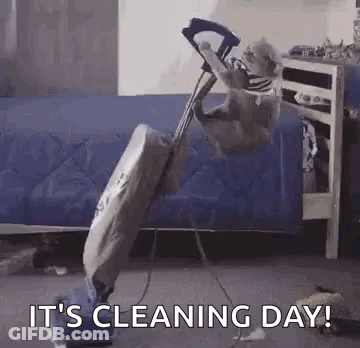 Dog Pulled By Vacuum Cleaner GIF