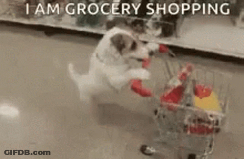 Dog Pushing Shopping Cart Full Of Groceries GIF