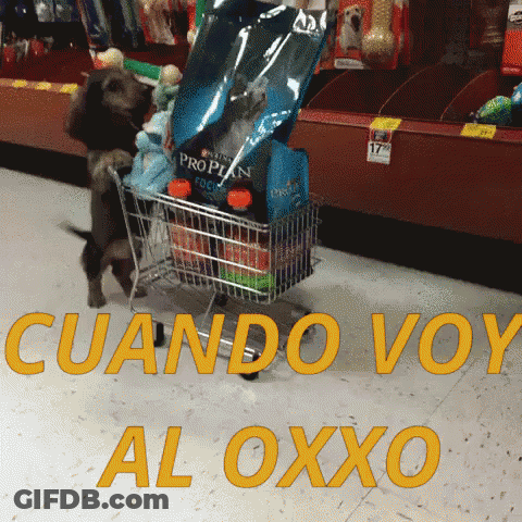 Dog Pushing Shopping Cart With Proplan Dog Food GIF