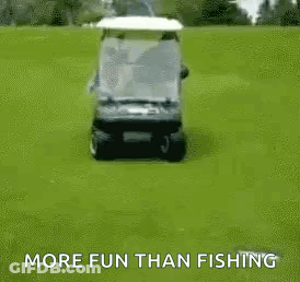 Dog Riding Golf Cart On Grassy Field GIF