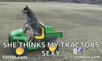 Dog Riding Green Tractor She Thinks My Tractor's Sexy GIF