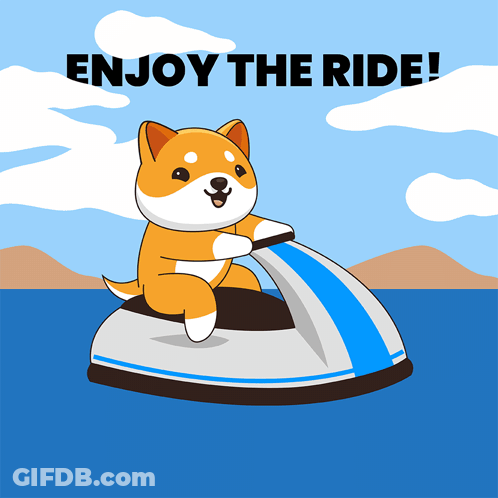 Dog Riding Jet Ski Enjoy The Ride GIF