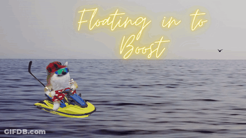 Dog Riding Jet Ski Floating In To Boost GIF