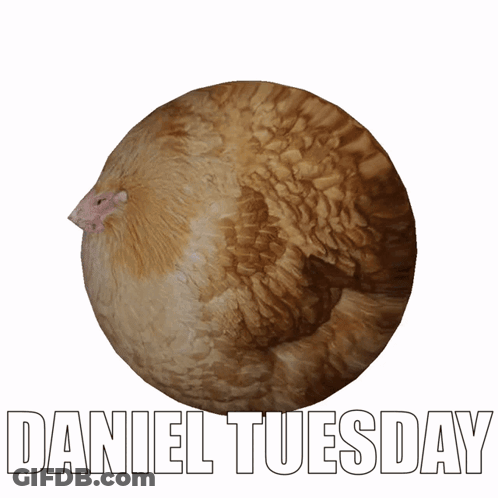 Dog Roti Belongs To Daniel GIF