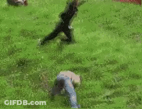 Dog Running Down Grassy Hill With Crowd GIF