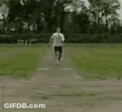 Dog Running Down Path In Field GIF