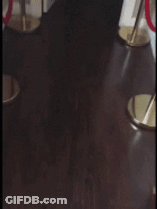 Dog Running Fall On The Stairs GIF