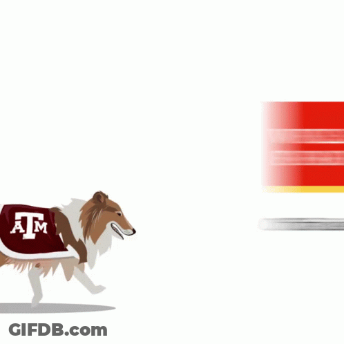 Dog Running In Front Of Texas Sign GIF