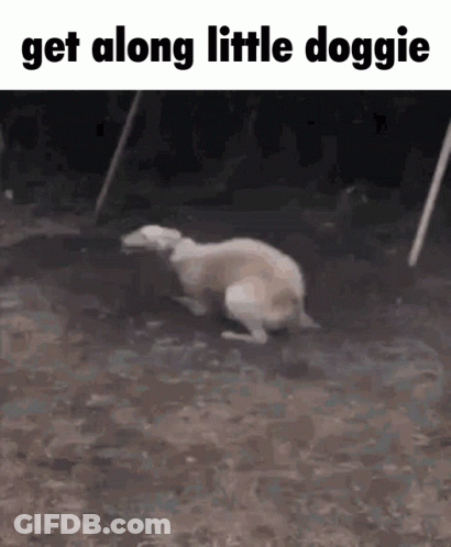 Dog Running On Dirt Road Get Along Little Doggie GIF