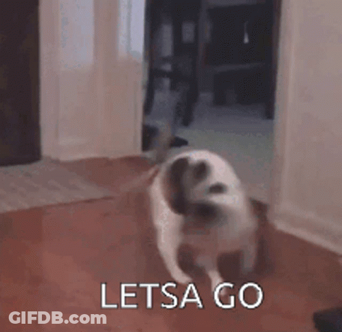 Dog Running Through Doorway Saying Let's Go GIF