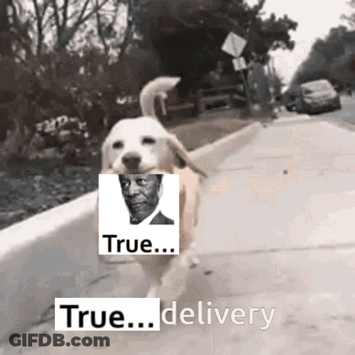 Dog Running With Man And True Delivery GIF
