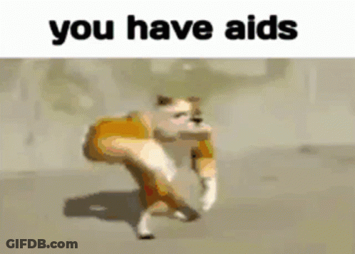Dog Running With You Have Aids GIF