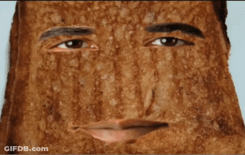 Dog's Face With Brick Wall GIF