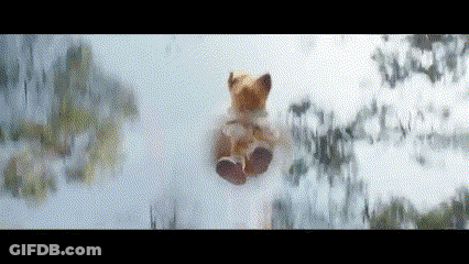 Dog's Paw Hanging From Window GIF