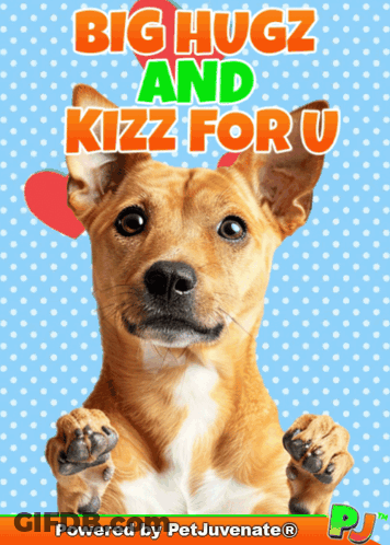 Dog Saying Big Hugz And Kizz For U GIF