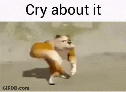 Dog Saying Cry About It GIF