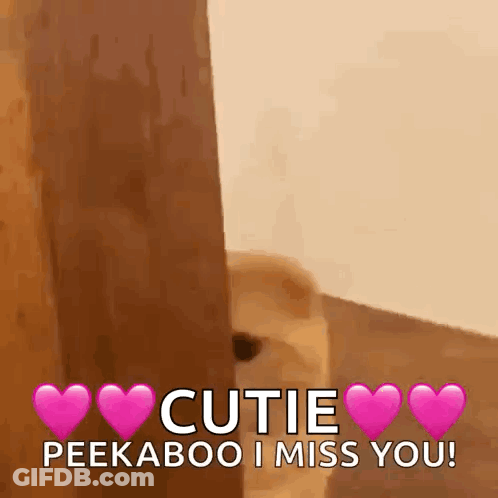 Dog Saying Cutie Peekaboo I Miss You GIF
