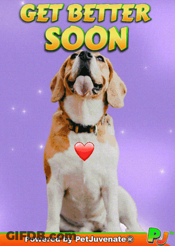 Dog Saying Get Better Soon GIF