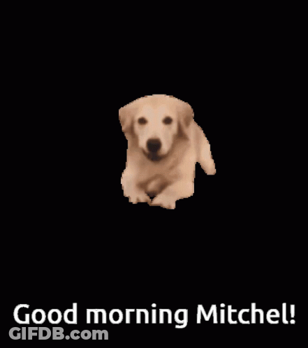 Dog Saying Good Morning Mitchel GIF