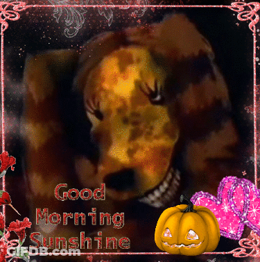 Dog Saying Good Morning Sunshine GIF