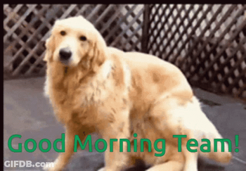 Dog Saying Good Morning Team GIF