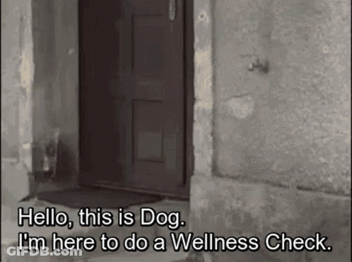 Dog Saying Hello Wellness Check At Door GIF