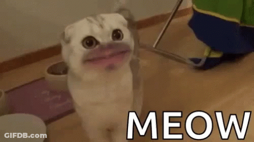 Dog Saying Hotta Dogs All Bark No Bite GIF
