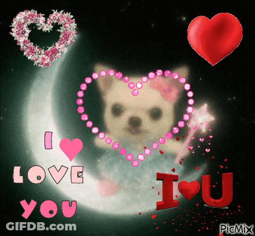 Dog Saying I Love You GIF