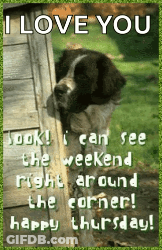 Dog Saying I Love You GIF