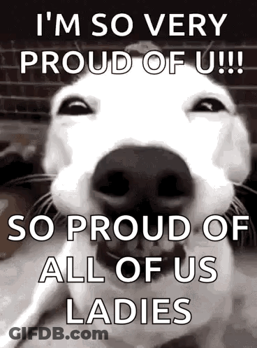 Dog Saying I'm So Very Proud Of You GIF