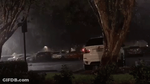 Dog Saying I'm So Very Proud Of You GIF